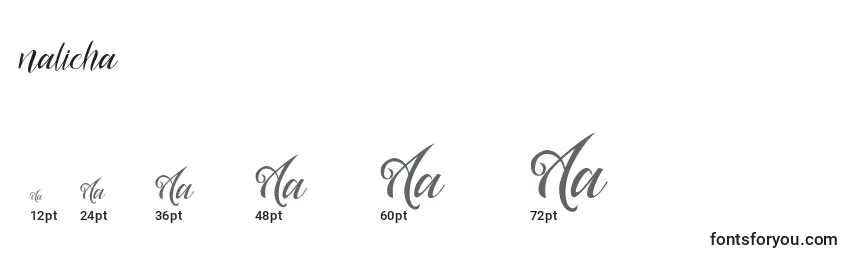 Nalicha Font Sizes