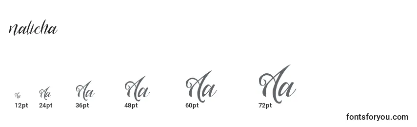 Размеры шрифта Nalicha (135256)