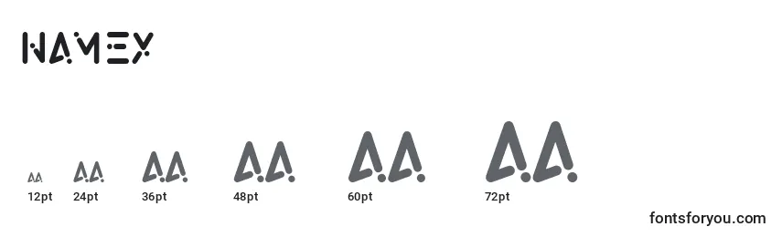 Namex Font Sizes