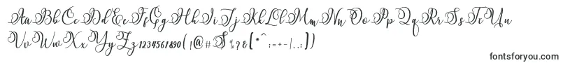 Namilla Font – Monogram Fonts