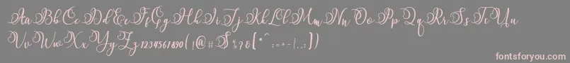 フォントNamilla – 灰色の背景にピンクのフォント
