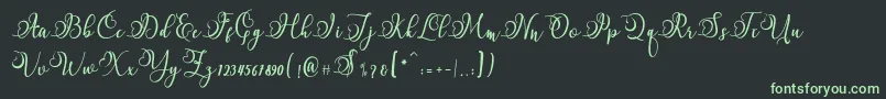フォントNamilla – 黒い背景に緑の文字