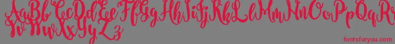 nanda FREE-Schriftart – Rote Schriften auf grauem Hintergrund