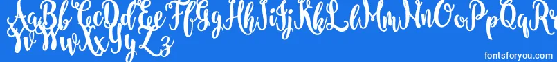フォントnanda FREE – 青い背景に白い文字