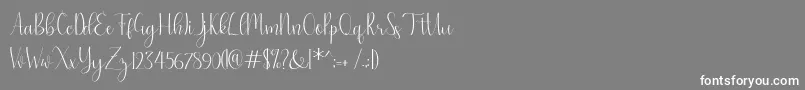 natasa Font – White Fonts on Gray Background