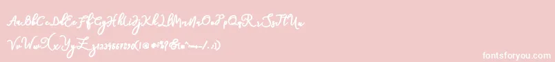 natasha Font – White Fonts on Pink Background