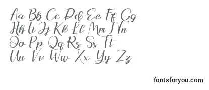 Обзор шрифта Natasya