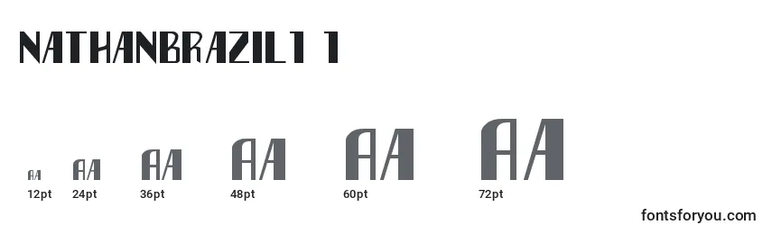 Nathanbrazil1 1 Font Sizes