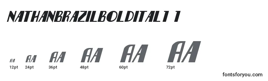 Размеры шрифта Nathanbrazilboldital1 1