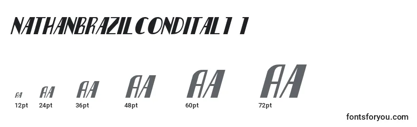 Nathanbrazilcondital1 1 Font Sizes