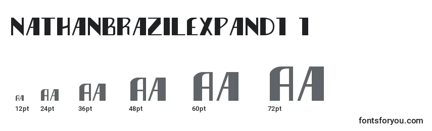 Размеры шрифта Nathanbrazilexpand1 1