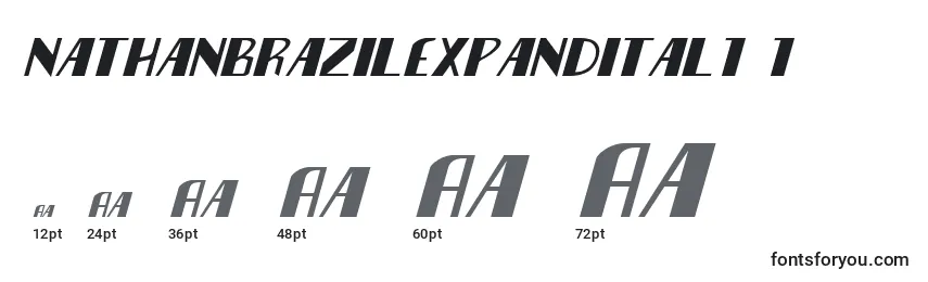 Размеры шрифта Nathanbrazilexpandital1 1
