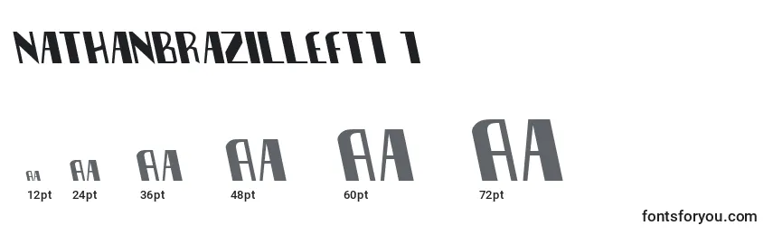 Nathanbrazilleft1 1 Font Sizes