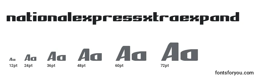 Размеры шрифта Nationalexpressxtraexpand