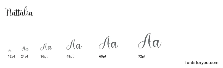 Nattalia Font Sizes