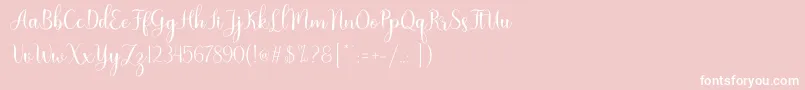 Nattalia Font – White Fonts on Pink Background