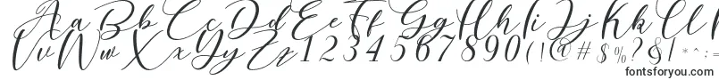 Шрифт Nattyla – каллиграфические шрифты