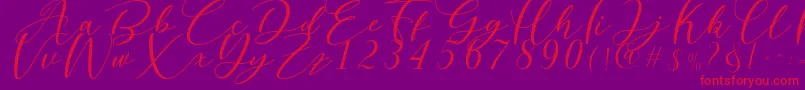 Nattyla Font – Red Fonts on Purple Background