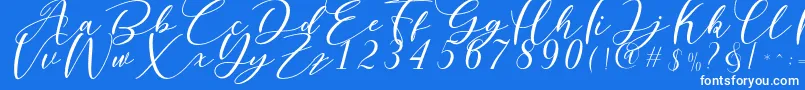Nattyla Font – White Fonts on Blue Background