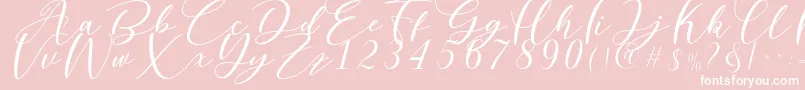 Nattyla Font – White Fonts on Pink Background