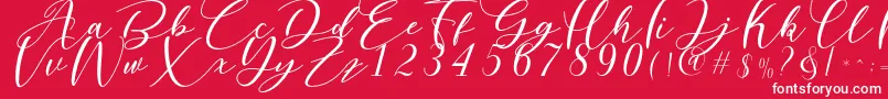 Шрифт Nattyla – белые шрифты на красном фоне