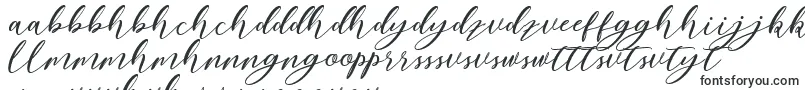 Шрифт Nattyla – шона шрифты