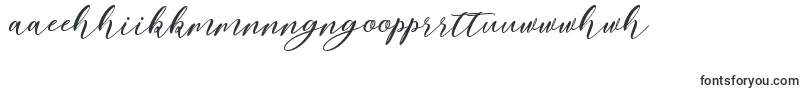 Шрифт Nattyla – маори шрифты