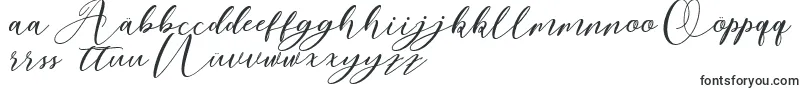 Шрифт Nattyla – немецкие шрифты