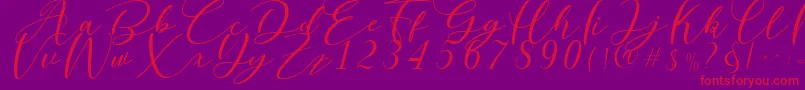 Nattyla Font – Red Fonts on Purple Background