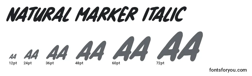 Размеры шрифта Natural Marker Italic