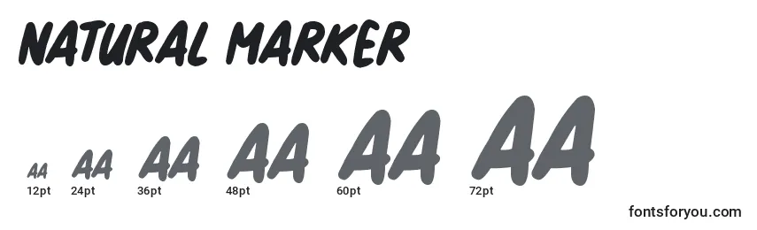 Размеры шрифта Natural Marker