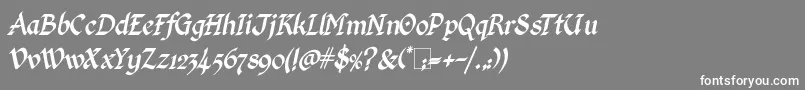 KingthingsCalligraphicaItalic Font – White Fonts on Gray Background