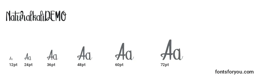 NaturalkaliDEMO Font Sizes