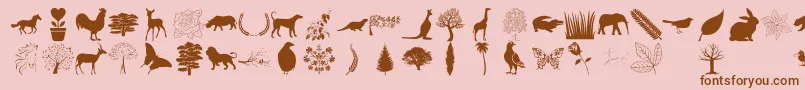 Nature Pro Font – Brown Fonts on Pink Background