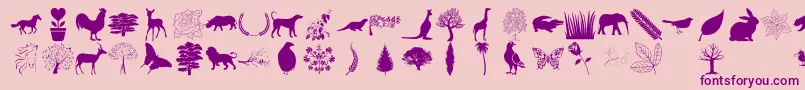 Nature Pro Font – Purple Fonts on Pink Background