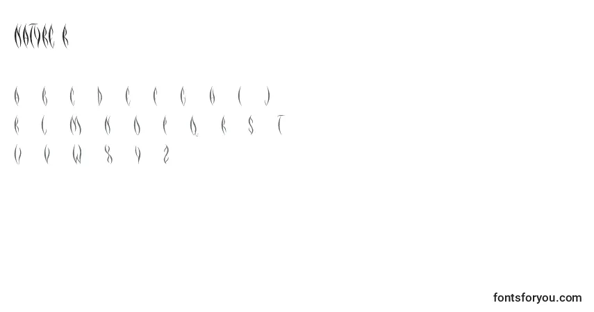 Schriftart NATYRE Regular – Alphabet, Zahlen, spezielle Symbole