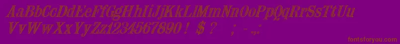 Nauert Italic Font – Brown Fonts on Purple Background
