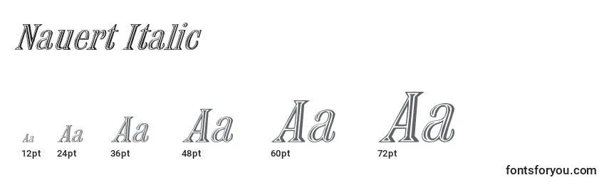 Размеры шрифта Nauert Italic