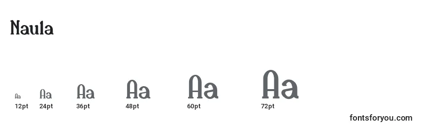 Размеры шрифта Naula (135363)