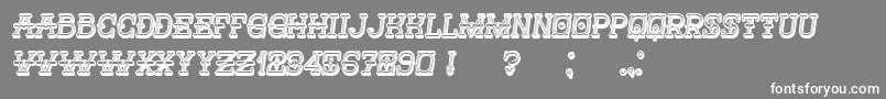 Nautica3D Italic-fontti – valkoiset fontit harmaalla taustalla