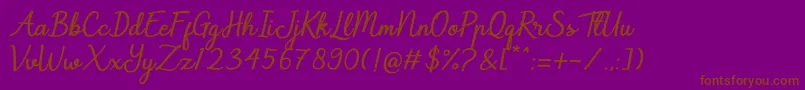 Шрифт Navilla – коричневые шрифты на фиолетовом фоне