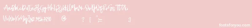 Naycila Font – White Fonts on Pink Background