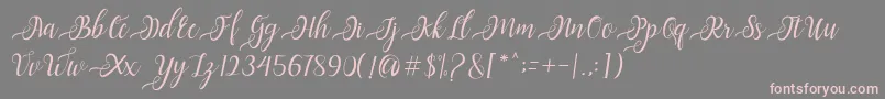 Nayla Script-fontti – vaaleanpunaiset fontit harmaalla taustalla