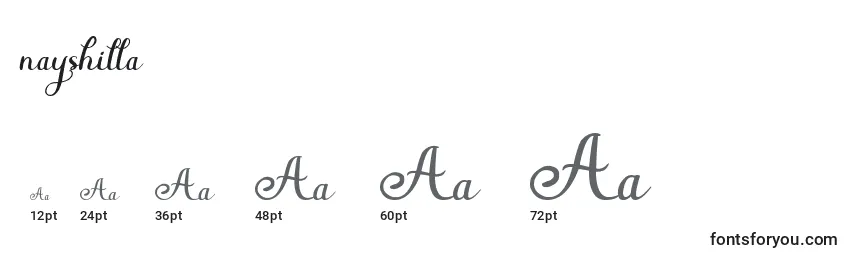 Nayshilla Font Sizes