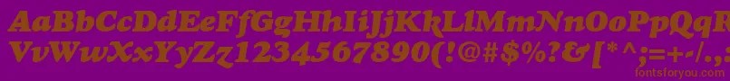 GoudyHeavyfaceItalic Font – Brown Fonts on Purple Background