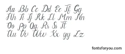 Обзор шрифта Neguhetty