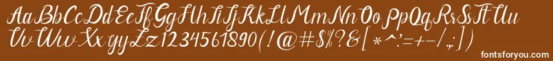 Neguhetty Font – White Fonts on Brown Background
