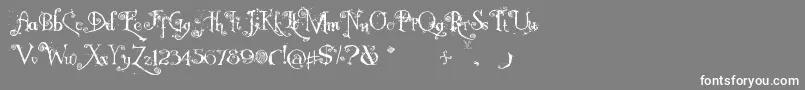 フォントNemo Nightmares – 灰色の背景に白い文字