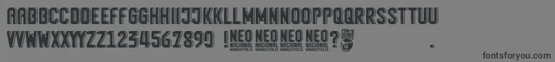 Neo Nacional Font – Black Fonts on Gray Background