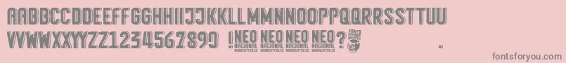 Neo Nacional Font – Gray Fonts on Pink Background